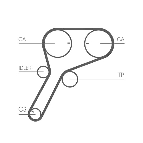 CONTINENTAL CTAM Zahnriemen