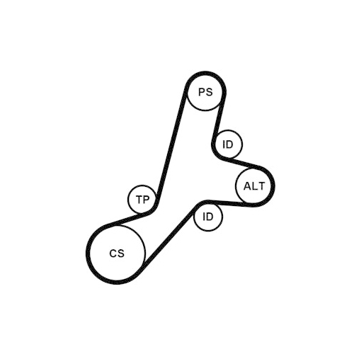 CONTINENTAL CTAM Keilrippenriemensatz