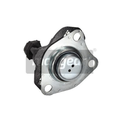 MAXGEAR Lagerung, Motor