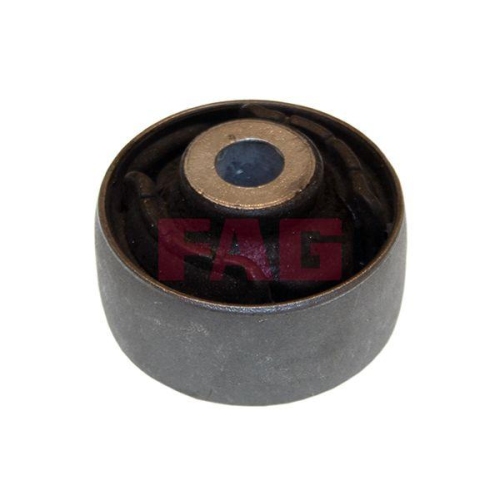 Schaeffler FAG Lagerung, Lenker