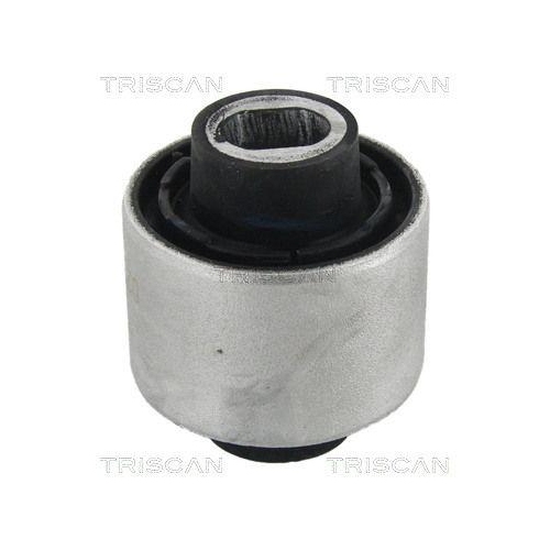 TRISCAN Lagerung, Lenker