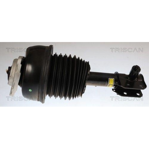 TRISCAN Fahrwerksfeder