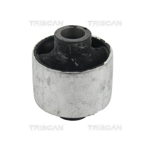 TRISCAN Lagerung, Lenker