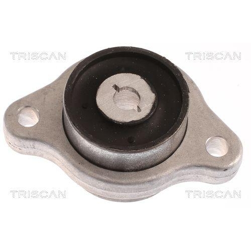 TRISCAN Lagerung, Lenker