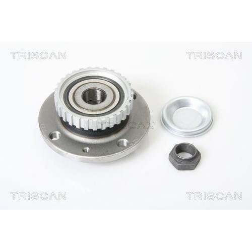 TRISCAN Radlagersatz