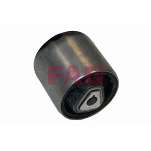 Schaeffler FAG Lagerung, Lenker