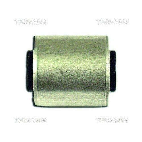 TRISCAN Lagerung, Lenker