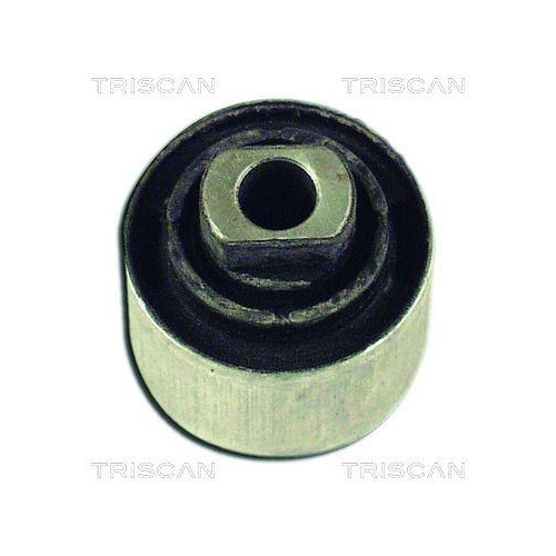 TRISCAN Lagerung, Lenker