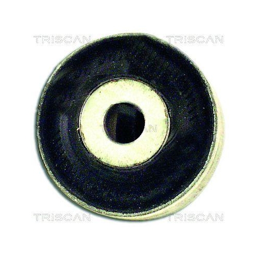 TRISCAN Lagerung, Lenker