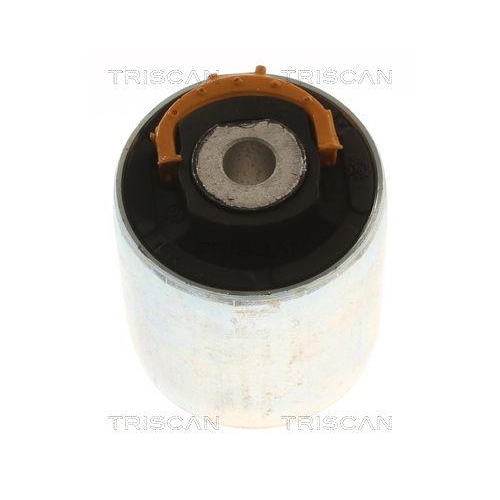 TRISCAN Lagerung, Lenker