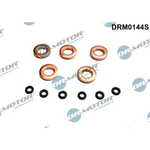 Dr.Motor Automotive Dichtungssatz, Einspritzdüse