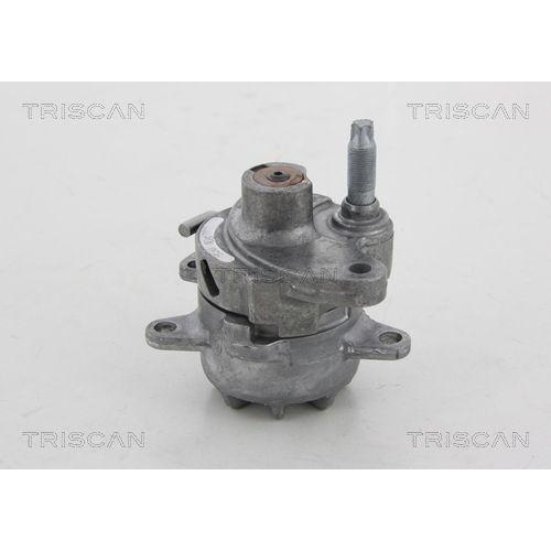 TRISCAN Riemenspanner, Keilrippenriemen