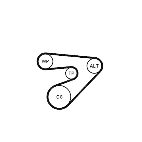 CONTINENTAL CTAM Keilrippenriemensatz