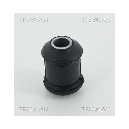 TRISCAN Lagerung, Lenker