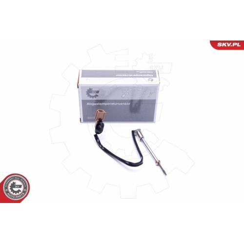 ESEN SKV Sensor, Abgastemperatur