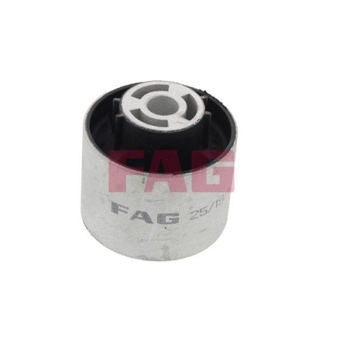 Schaeffler FAG Lagerung, Lenker