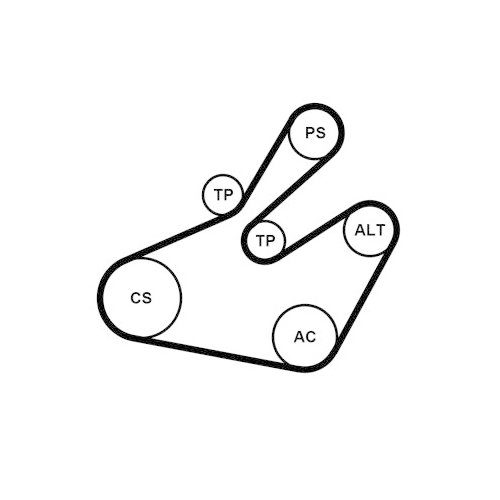 CONTINENTAL CTAM Keilrippenriemensatz