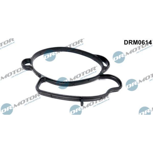 Dr.Motor Automotive Dichtung, Drosselklappenstutzen