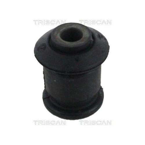 TRISCAN Lagerung, Lenker