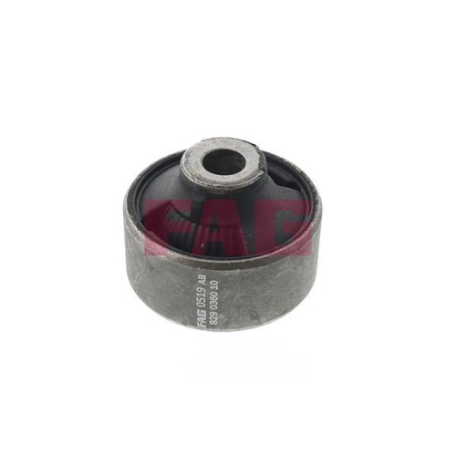 Schaeffler FAG Lagerung, Lenker