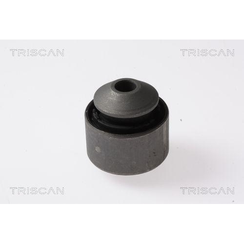 TRISCAN Lagerung, Lenker