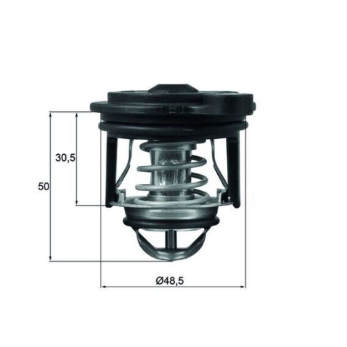 MAHLE Thermostat, Kühlmittel BEHR