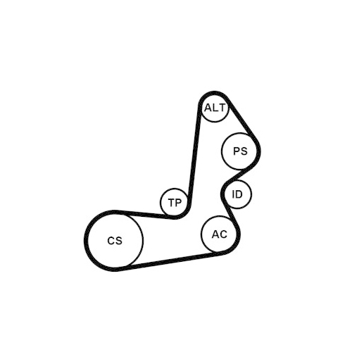 CONTINENTAL CTAM Keilrippenriemensatz