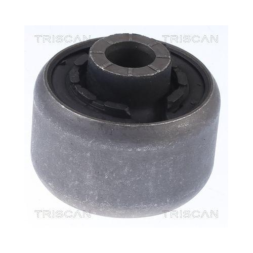 TRISCAN Lagerung, Lenker