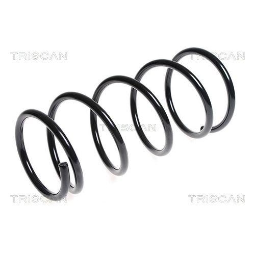 TRISCAN Fahrwerksfeder