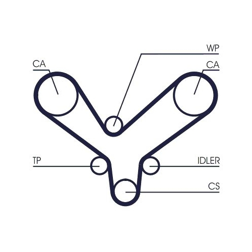 CONTINENTAL CTAM Zahnriemen