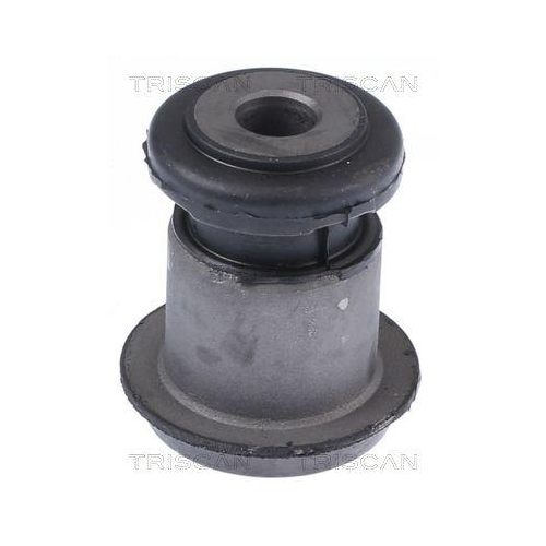 TRISCAN Lagerung, Lenker