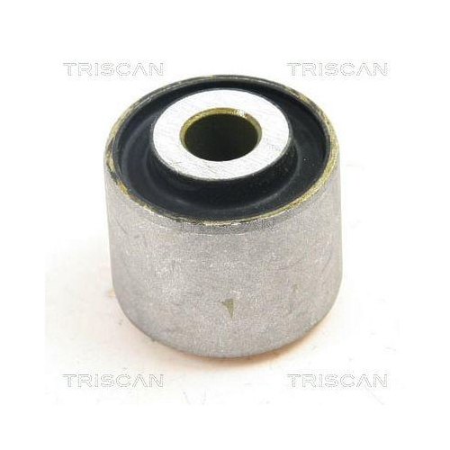 TRISCAN Lagerung, Lenker