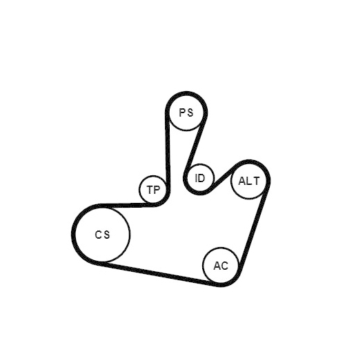 CONTINENTAL CTAM Keilrippenriemensatz