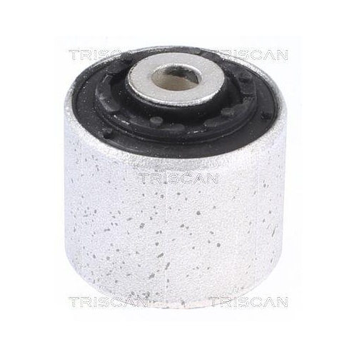 TRISCAN Lagerung, Lenker