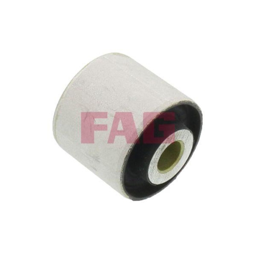 Schaeffler FAG Lagerung, Lenker