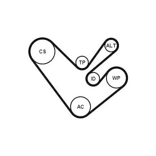 CONTINENTAL CTAM Keilrippenriemensatz