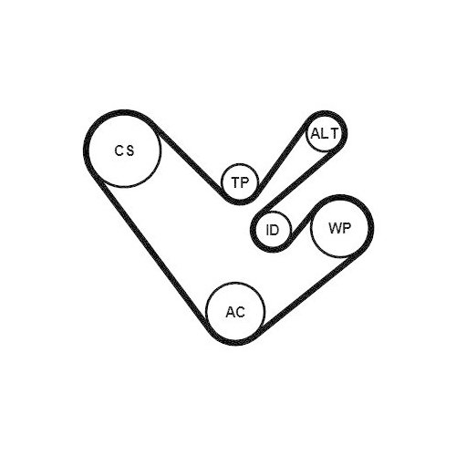 CONTINENTAL CTAM Keilrippenriemensatz