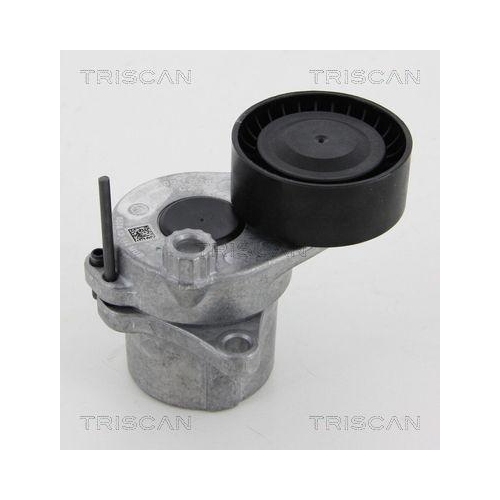 TRISCAN Riemenspanner, Keilrippenriemen