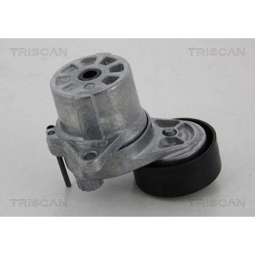 TRISCAN Riemenspanner, Keilrippenriemen