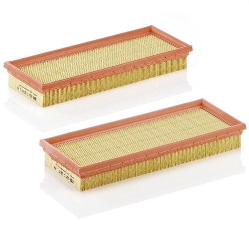 MANN-FILTER Luftfilter