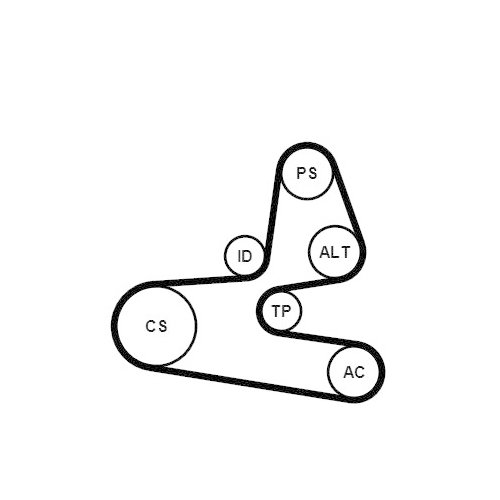 CONTINENTAL CTAM Keilrippenriemensatz