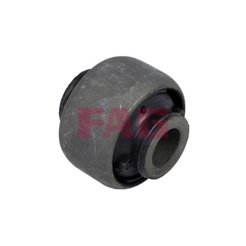 Schaeffler FAG Lagerung, Lenker