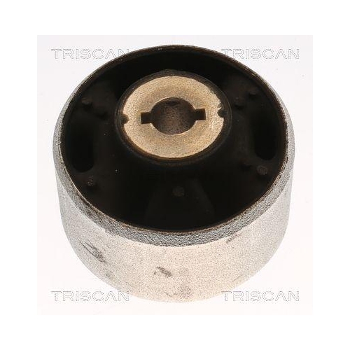 TRISCAN Lagerung, Lenker