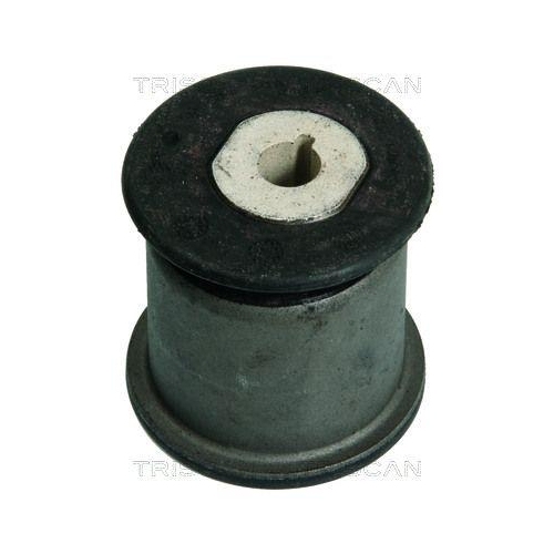 TRISCAN Lagerung, Lenker