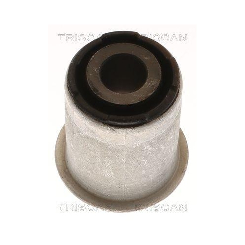 TRISCAN Lagerung, Lenker