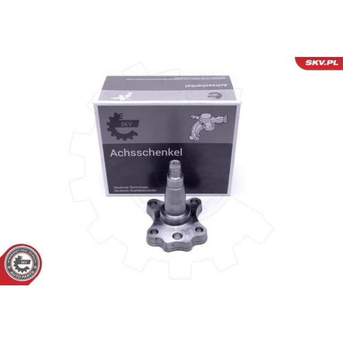 ESEN SKV Radlagersatz