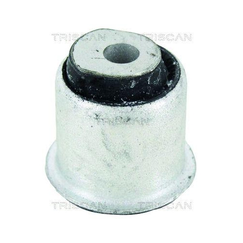 TRISCAN Lagerung, Lenker