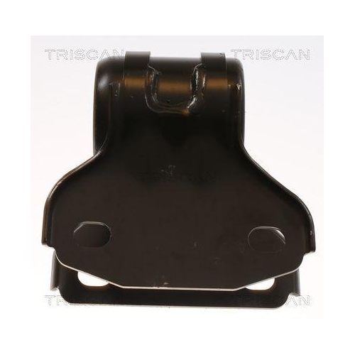 TRISCAN Lagerung, Lenker