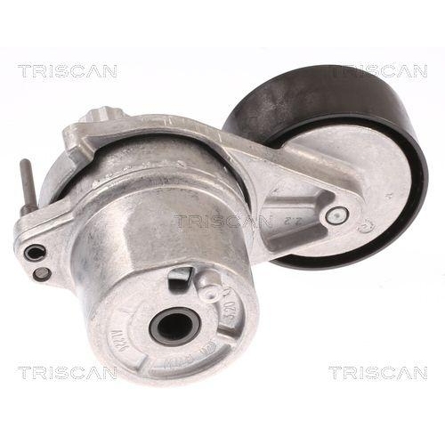 TRISCAN Riemenspanner, Keilrippenriemen