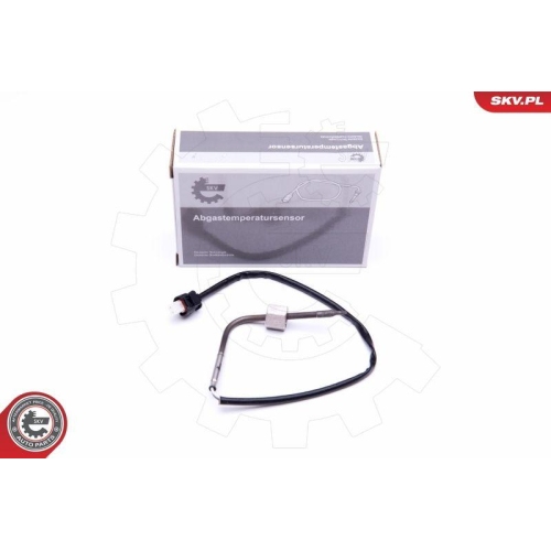 ESEN SKV Sensor, Abgastemperatur